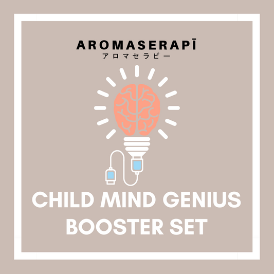 CHILD MIND GENIUS BOOSTER SET